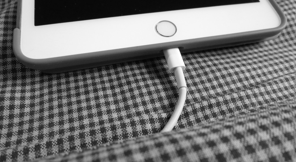 iPadKissen002