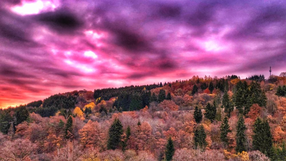 Blick aus dem Küchenfenster | Planet-Kais Blog